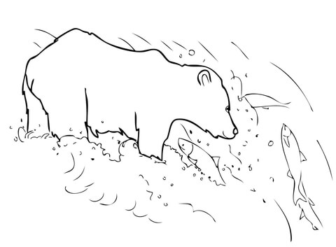 Grizzly Bear Is Fishing Coloring Page